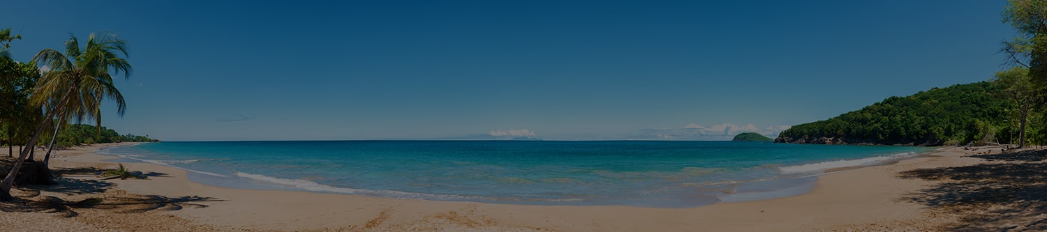 Palm Beach
